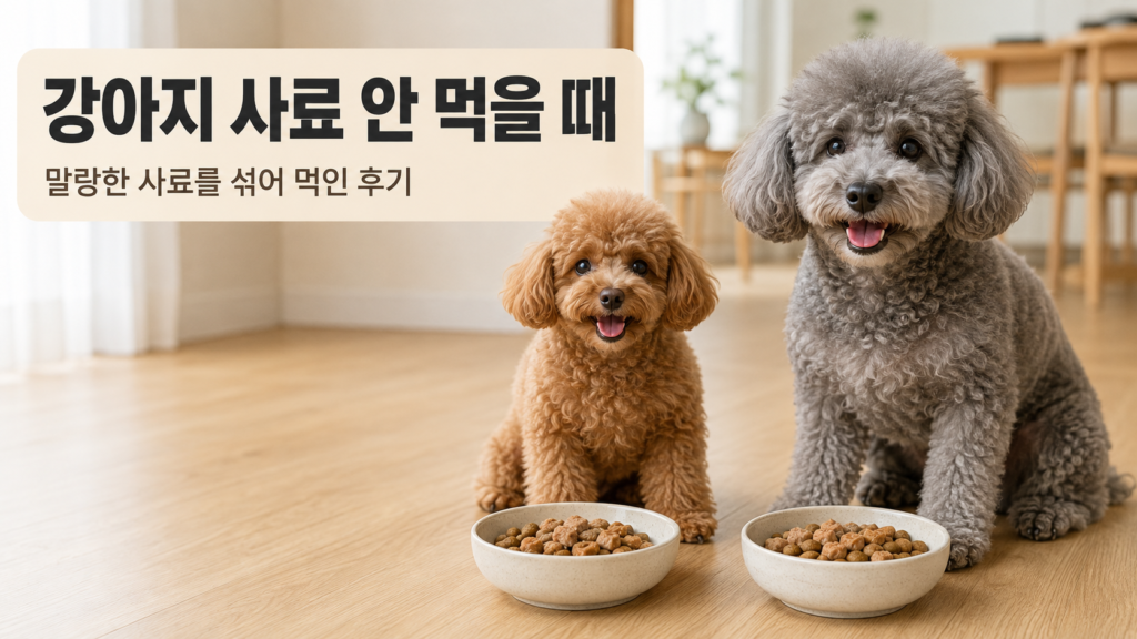 강아지 사료 안 먹을 때 말랑한 사료를 섞어 급여하는 모습