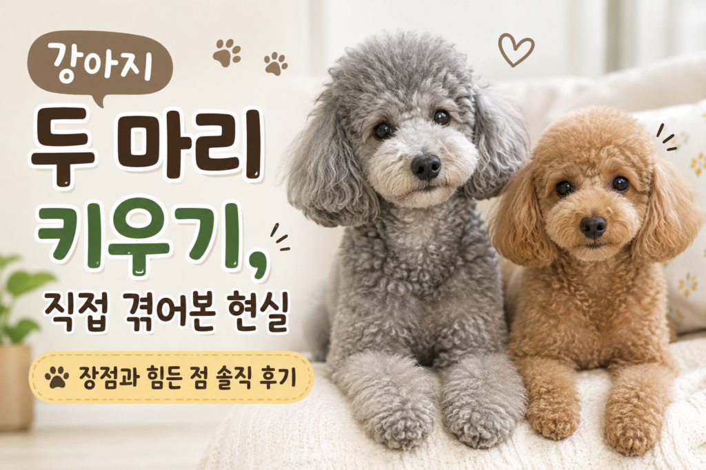 강아지 두 마리 키우기 장점과 힘든 점